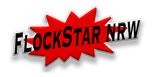 Sponsor-Kroatia-Essen9